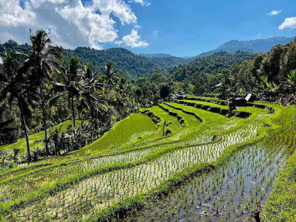 Indonesia