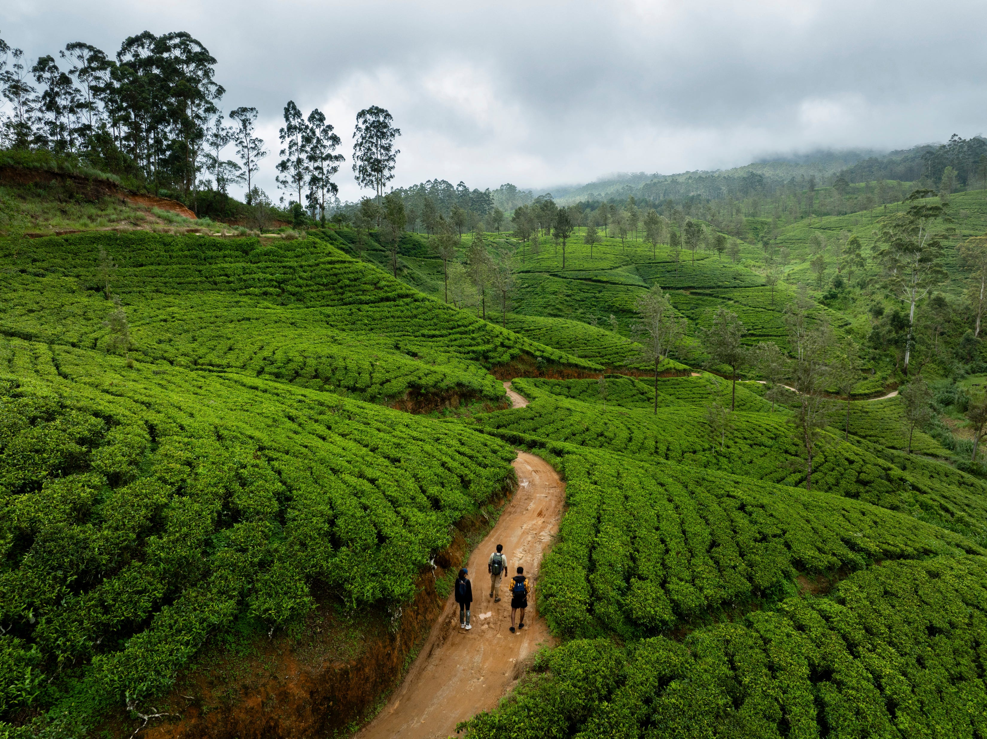 Sri Lanka